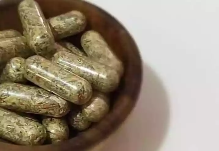 Cogumelos Mágicos Microdose (Pcilocybe Cubensis)