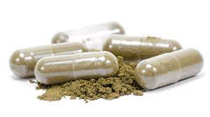 Cogumelos Mágicos Microdose (Pcilocybe Cubensis) - Imagem 3